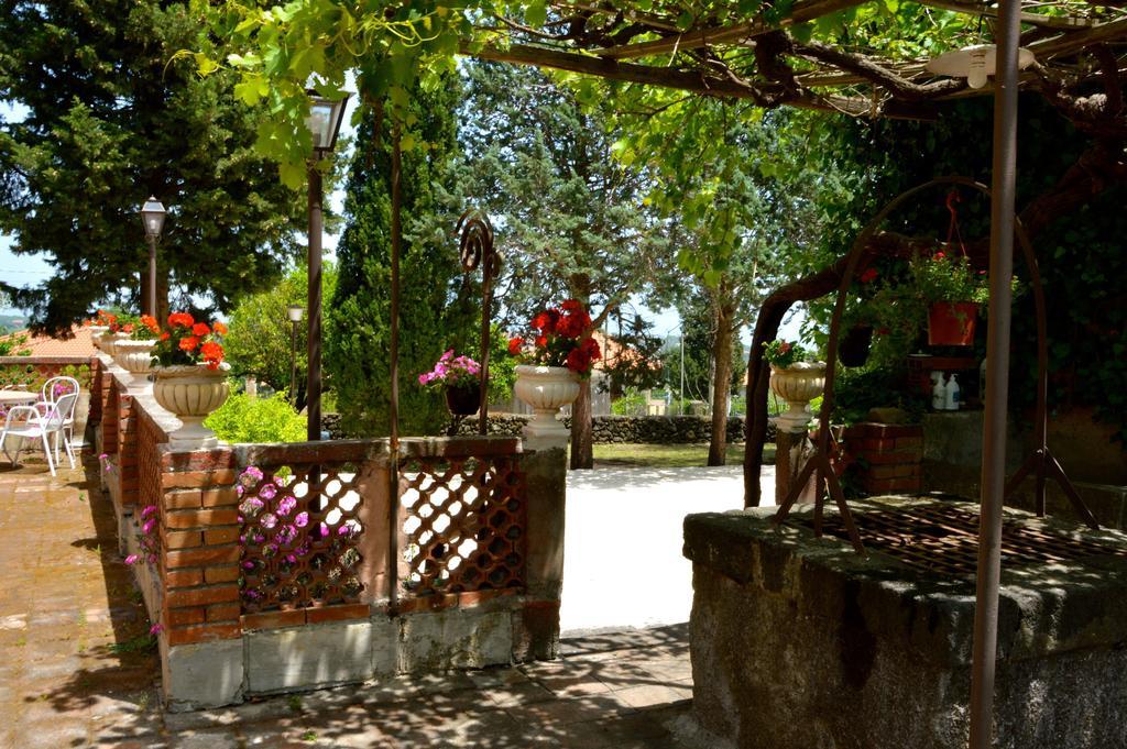 Villa Bonaccorso - Antica E Maestosa Villa Con Piscina Ai Piedi Dell'Etna Viagrande Exterior photo